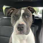 Kurt Ritter - @kurtritter13 - Instagram