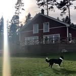 Kurt Roos - @kurtroos - Instagram