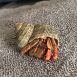 Kurt Sands - @courageous.kurt - Instagram