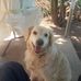 Kurt Schneller - Facebook