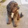 Kurt  Schultes - @kurt.schultes8 - TikTok