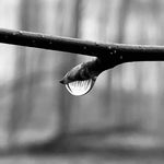 Kurt Seidel - @kurtsphotogallery - Instagram