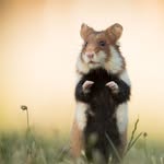 Kurt Walter Seidel - @kurtwalterseidel - Instagram