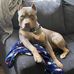 Kurt Shipley - Facebook