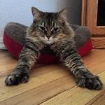 @kurt_siebertf - Instagram