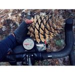@kurt_siebertgn - Instagram