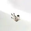 Sett - @kurtskivert - TikTok