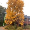 Kurt Sonnenberg - @kurt.sonnenberg - TikTok