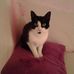 Madleen Spitzel - Facebook
