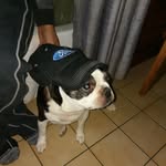 Kurt Staley - @scrapper818 - Instagram