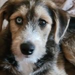 Kurt Stanley - @bigcrete65 - Instagram
