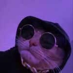 Alexandr Kurt - @kurt.stark_ - Instagram