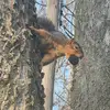 kurtsteenhoek - @kurtsteenhoek - TikTok