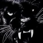 Kurt Steiner - @kurtsteiner71 - Instagram