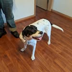 Kurt Steiner - @kurtsteiner3 - Instagram