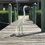 Kurt Stickler - @kurtman66 - Instagram