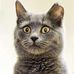 Kurt Stickler - Facebook