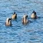 Kurt Stokes - @kurtstokes25 - Instagram