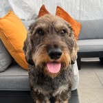 Kurt Stoops - @kurt.stoops - Instagram