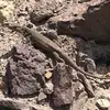 Kurt Strandberg - @kurt.strandberg - TikTok