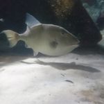 kurt streicher - @kurt.streicher - Instagram