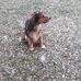 Kurt Streibl - Facebook