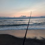 Kurt Streit - @streit_kurt - Instagram