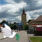 Kurt Streitferdt - @kurtstreitferdt - Instagram