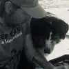 Kurt Studer - @kurt.studer7 - TikTok