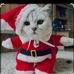 Kurt Anthony Sator - Facebook