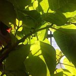 @kurt_sutton - Instagram