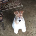 Kurt Traub - @ktraubjr - Instagram