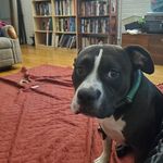 Kurt VanHorn - @kurt_2234 - Instagram