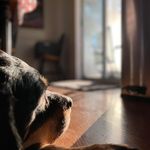Kurt Varney - @kurtisv - Instagram