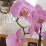 Kurt Wahlen - @kurtwahlen - Instagram