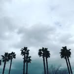 @kurt_walker52 - Instagram