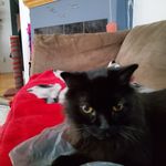 Kurt Wells - @angeldragon35 - Instagram