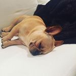 Kurt Wenzel - @babandiana54 - Instagram