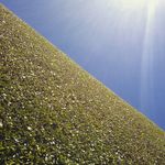 Kurt Wilkinson Garden Design - @kurt.wilkinson - Instagram