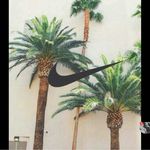 Kurt Williamson - @kurtle_turtle7 - Instagram