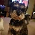 Kurt Williamson - @kurtwilliamson38 - Instagram