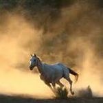 Kurt Williamson - @kurt.williamson.77 - Instagram