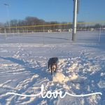 Kurt Wise - @kurt.wise.543 - Instagram