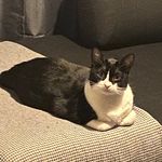 Kurt.Wise-porter - @kurt.wiseporter - Instagram