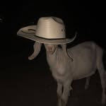 Curtis Ferguson - @curtis.ferguson.3154 - Instagram