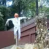 Curtis Ferguson - @curtis.ferguson0 - TikTok