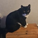 Curtis Fox - Facebook