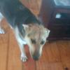 Curtis Fox - @curtis.fox0 - TikTok