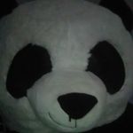 kurtis howell - @knautd_panda - Instagram