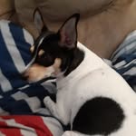Kurtis Jackson - @young_bug_thug - Instagram